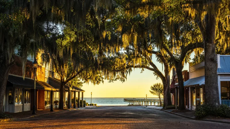 Gulf Coast small-town main street with live oaks near the water, Biloxi Business License